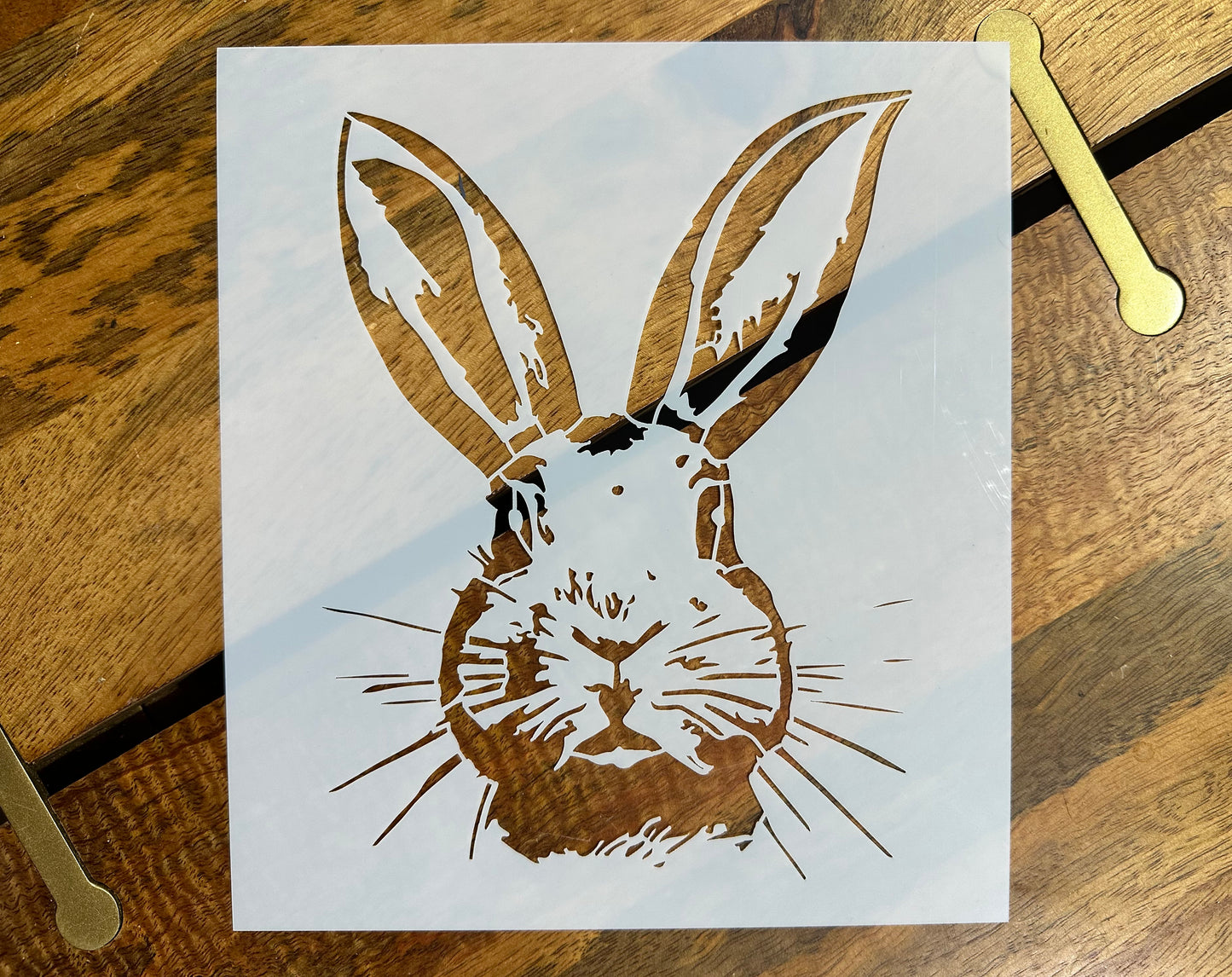 Bunny Rabbit Portrait Stencil - Reusable DIY Craft for Easter and Spring Decor